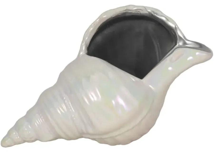 8" Iridescent Seashell With Silver, Ivory/silver