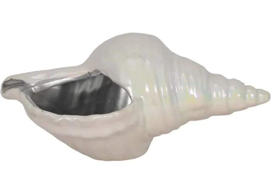 8" Iridescent Seashell With Silver, Ivory/silver