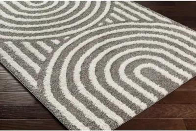 Rodos RDO-2329 7'10" x 10' Machine Woven Rug