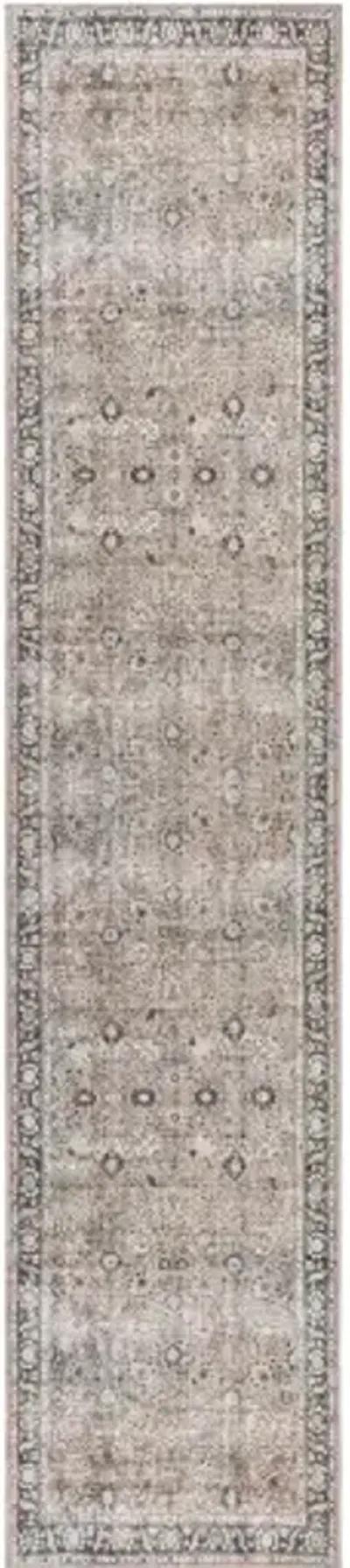 Colin 5'3" x 7'3" Rug