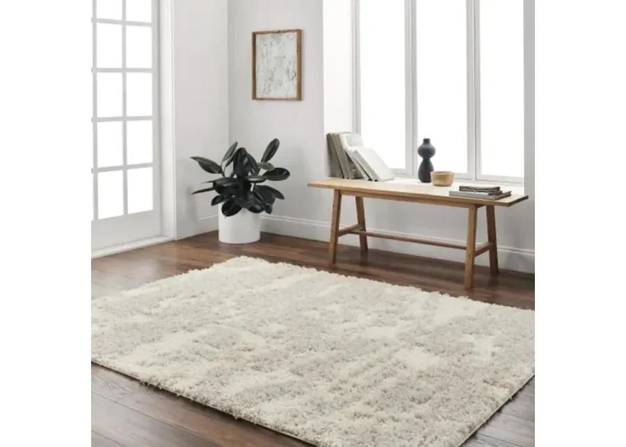 Everton Plus EVP-2300 2' x 2'11" Machine Woven Rug