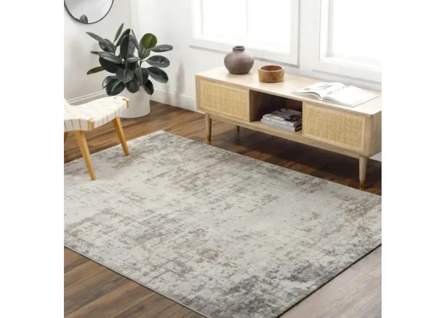 Roma ROM-2404 7'10" x 10' Machine Woven Rug