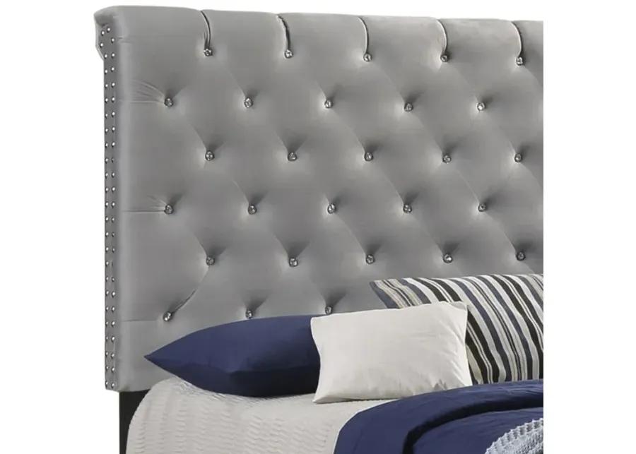 Warner Queen Upholstered Bed Grey