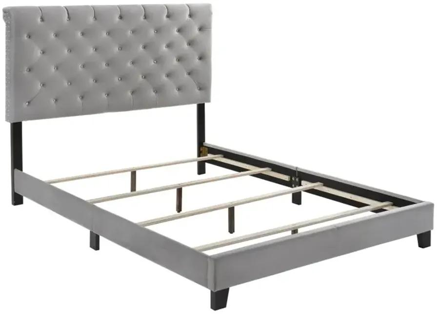 Warner Queen Upholstered Bed Grey