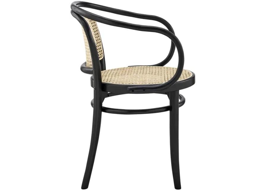 Oliana Wood Dining Armchair