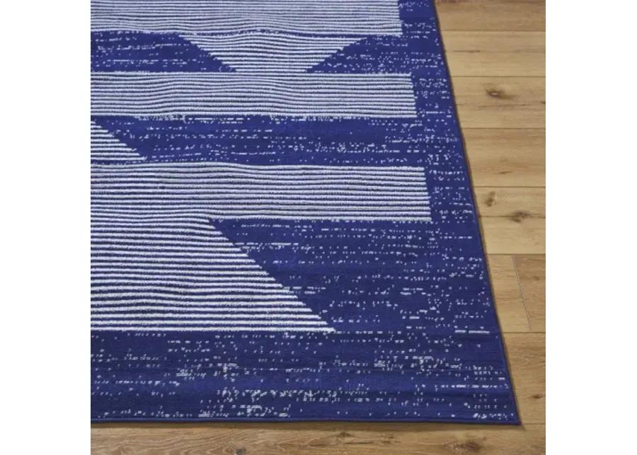 Pisa PSS-2377 6'7" x 9' Machine Woven Rug