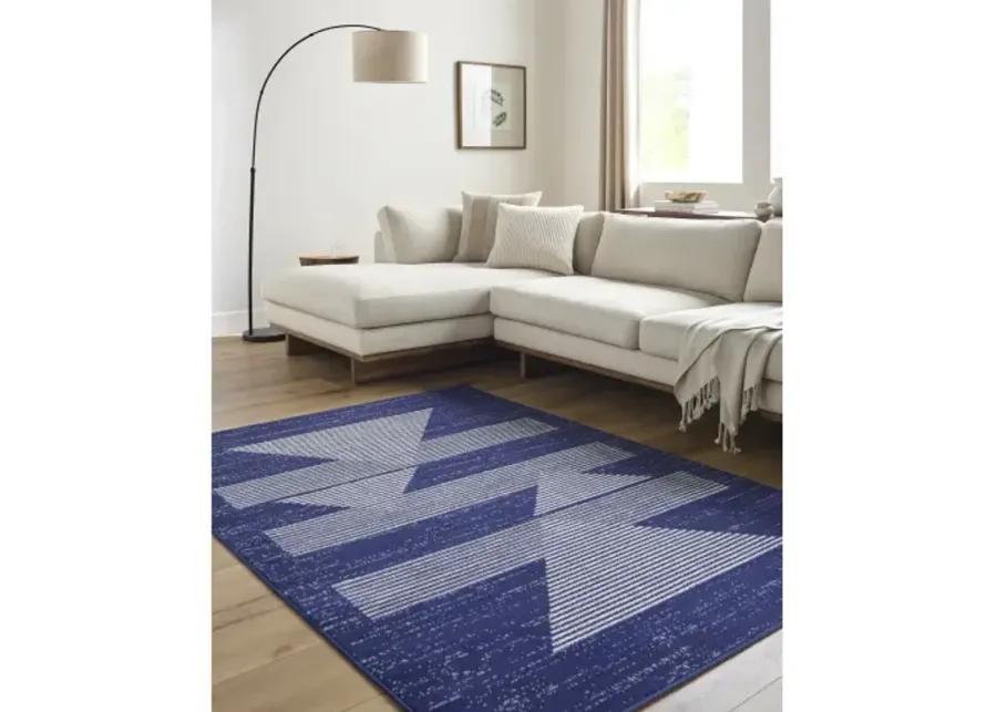 Pisa PSS-2377 6'7" x 9' Machine Woven Rug