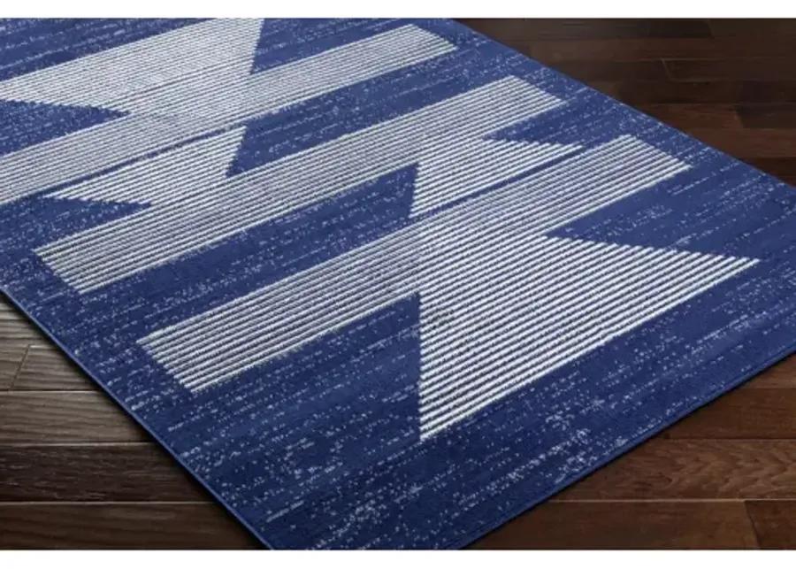 Pisa PSS-2377 6'7" x 9' Machine Woven Rug