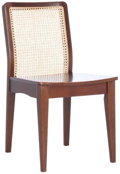 BENICIO RATTAN DINING CHAIR  - Set of 2