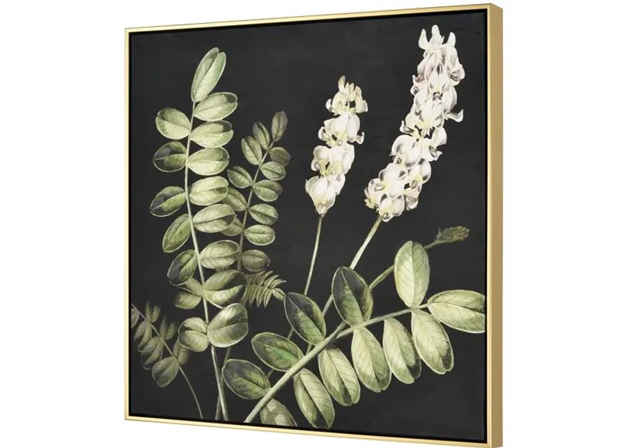 Botanical Study II Framed Wall Art