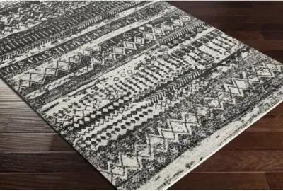 Lavadora LVR-2330 2'7" x 7'3" Rug