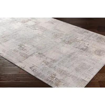 Alpine 2'7" x 7'3" Rug