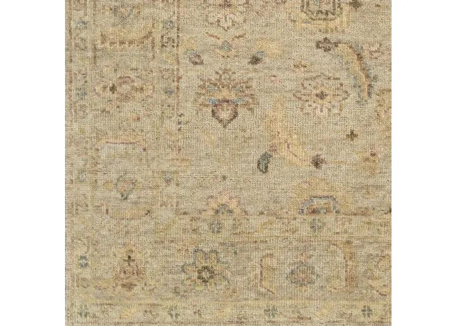 Biscayne BSY-2317 8' x 10' Handmade Rug