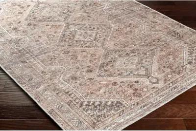 Amelie AML-2384 7'10" x 10'2" Machine Woven Rug