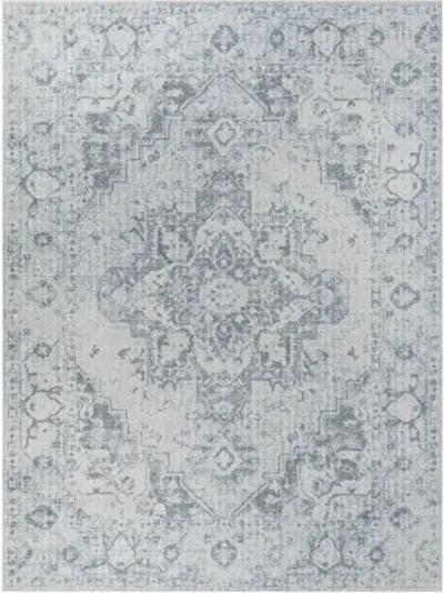 Lillian LLL-2334 7'10" x 10' Machine Woven Rug