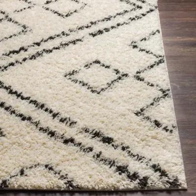 Beni shag 6'7" x 9' Rug