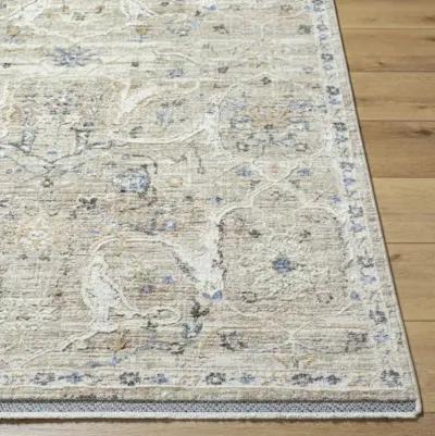 Rivaldo RVD-2309 6'7" x 9'6" Machine Woven Rug