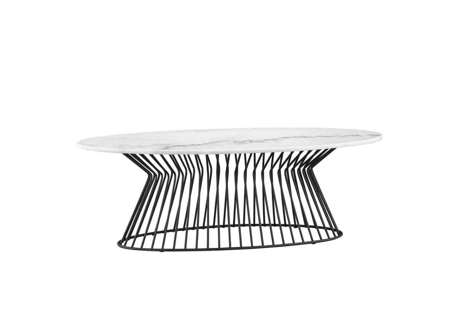 Madison Park Marbury Black/White Coffee Table