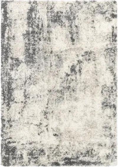 Eskimo Shag 5'3" x 7' Rug