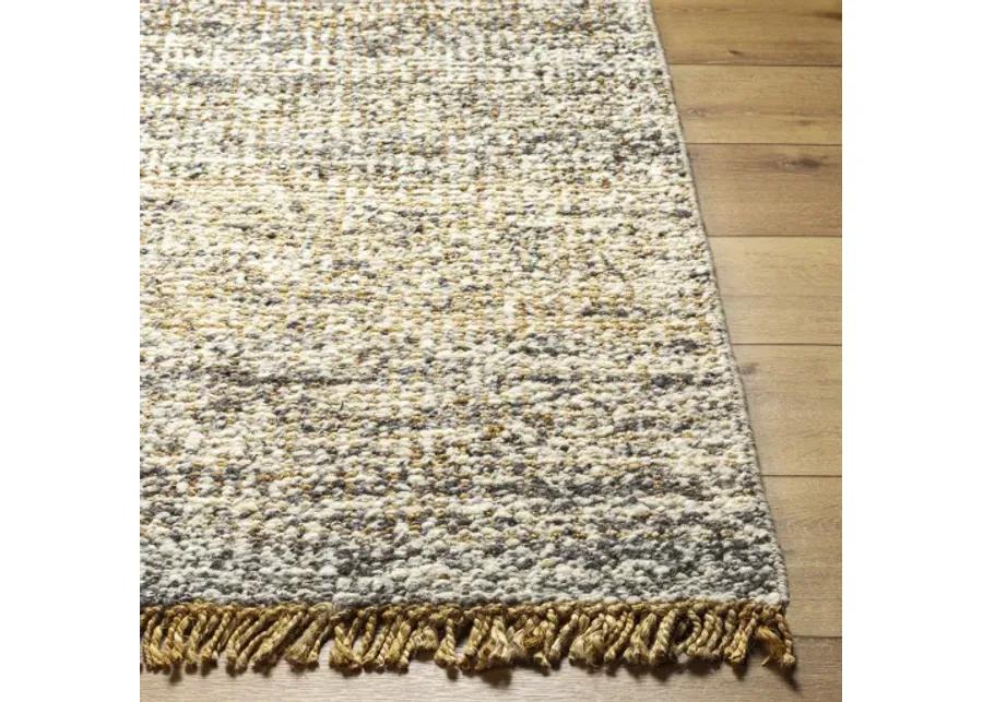 Aylin AYI-2302 9' x 12' Hand Made Rug