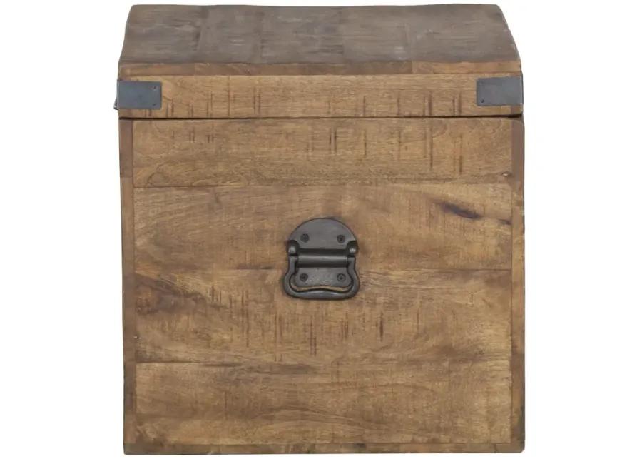 Livingston 18 inch Square Trunk by Kosas Home