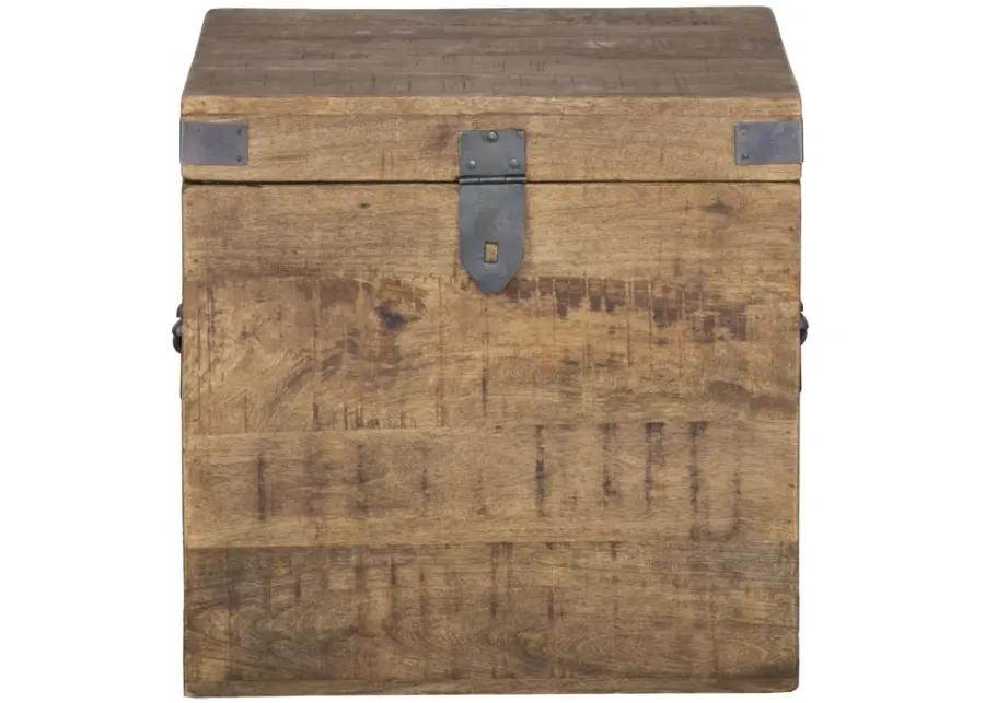 Livingston 18 inch Square Trunk by Kosas Home