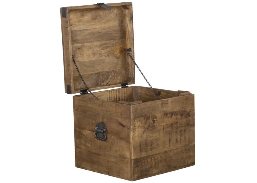 Livingston 18 inch Square Trunk by Kosas Home