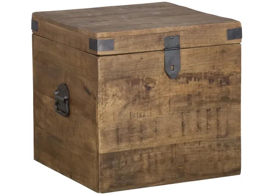 Livingston 18 inch Square Trunk by Kosas Home