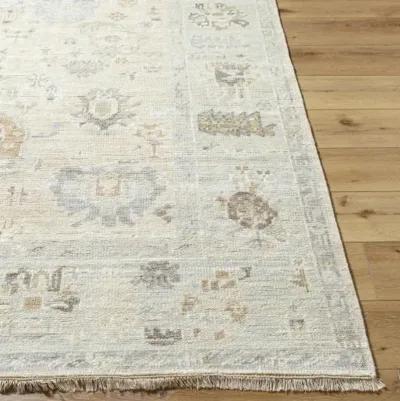 Antalya AAT-2314 2' x 3' Handmade Rug