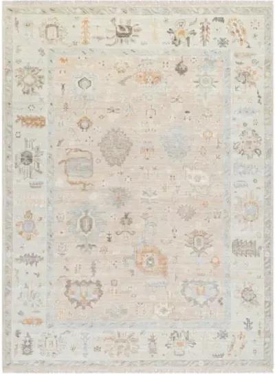 Antalya AAT-2314 2' x 3' Handmade Rug