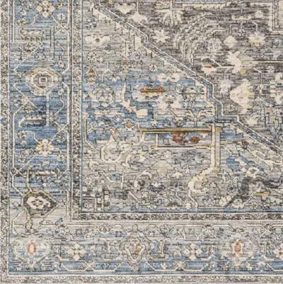 Chicago CHG-2313 8'10" x 12'8" Machine Woven Rug