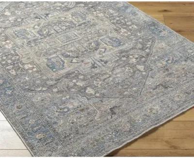 Chicago CHG-2313 8'10" x 12'8" Machine Woven Rug