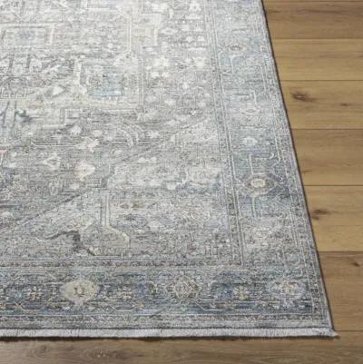 Chicago CHG-2313 8'10" x 12'8" Machine Woven Rug