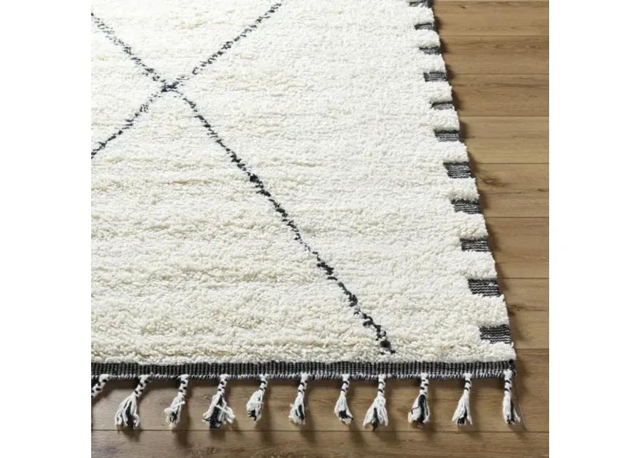 Mirela MMI-2306 8' x 10' Hand Made Rug