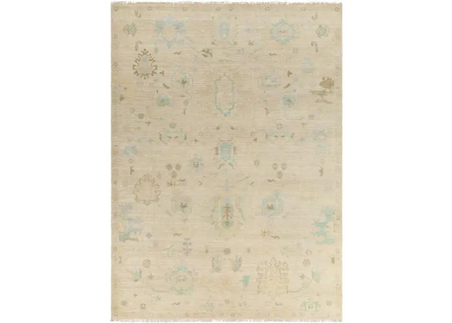 Antalya AAT-2308 2' x 3' Handmade Rug