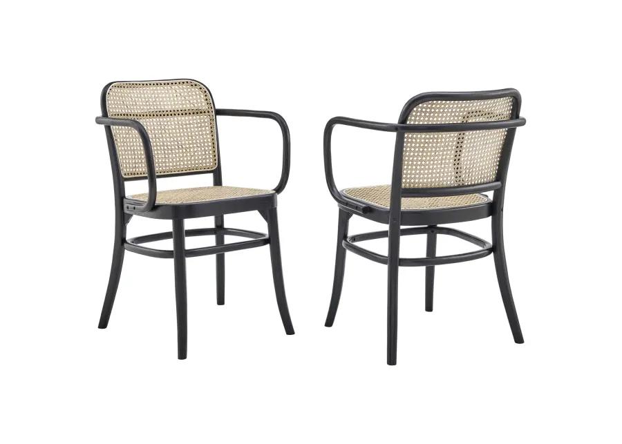 Winona Wood Dining Chair Set of 2