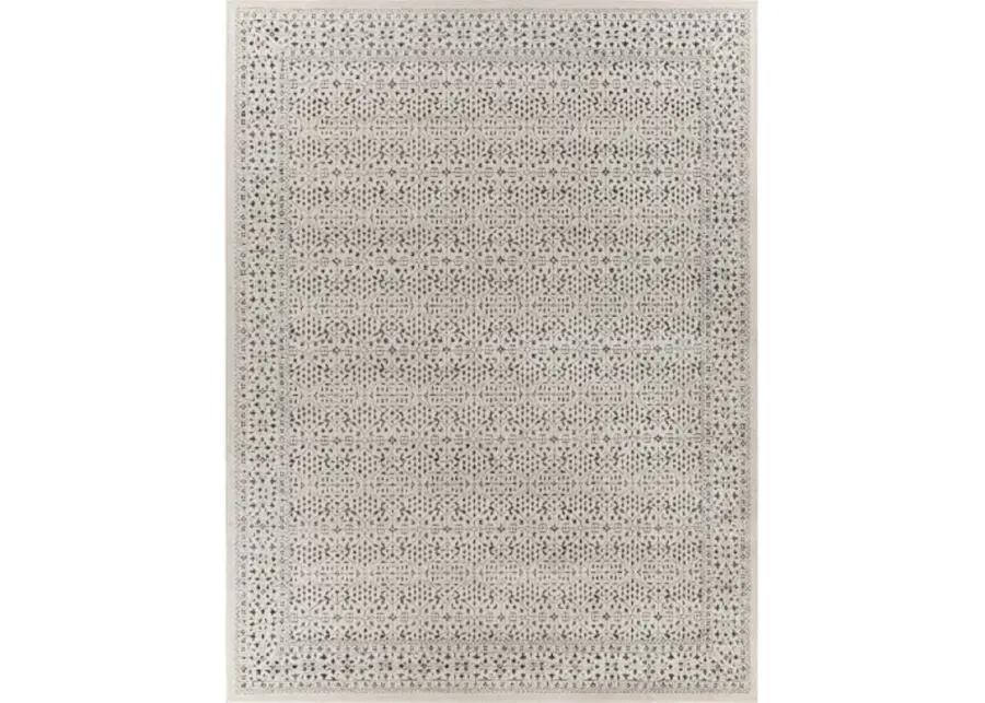 Bahar 5'3" x 7'3" Rug