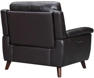 Lizette Brown Leather Power Recliner with USB