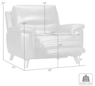 Lizette Brown Leather Power Recliner with USB