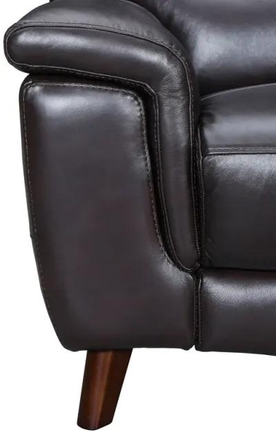 Lizette Brown Leather Power Recliner with USB