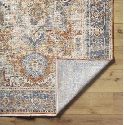 Chicago CHG-2301 5'3" x 7'9" Machine Woven Rug