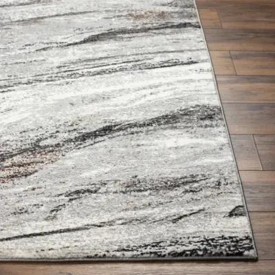 Allegro Plus AGP-2307 5'3" x 7'3" Machine Woven Rug