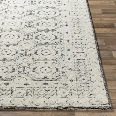 Louvre 6' x 9' Rug