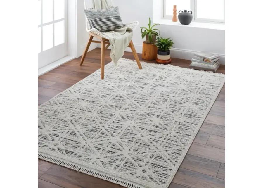 Berlin BLR-2304 6'7" x 9' Machine Woven Rug