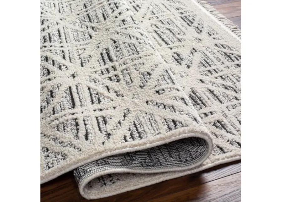 Berlin BLR-2304 6'7" x 9' Machine Woven Rug