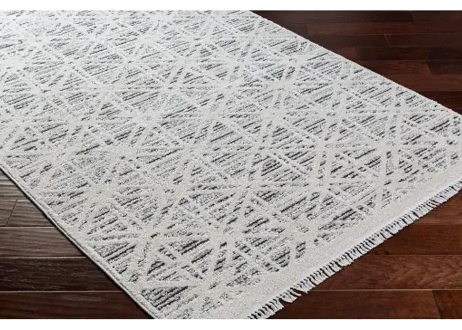 Berlin BLR-2304 6'7" x 9' Machine Woven Rug