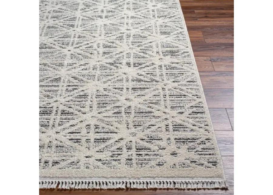 Berlin BLR-2304 6'7" x 9' Machine Woven Rug