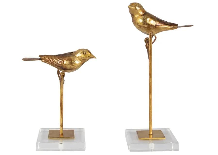 Passerines Bird Sculptures S/2