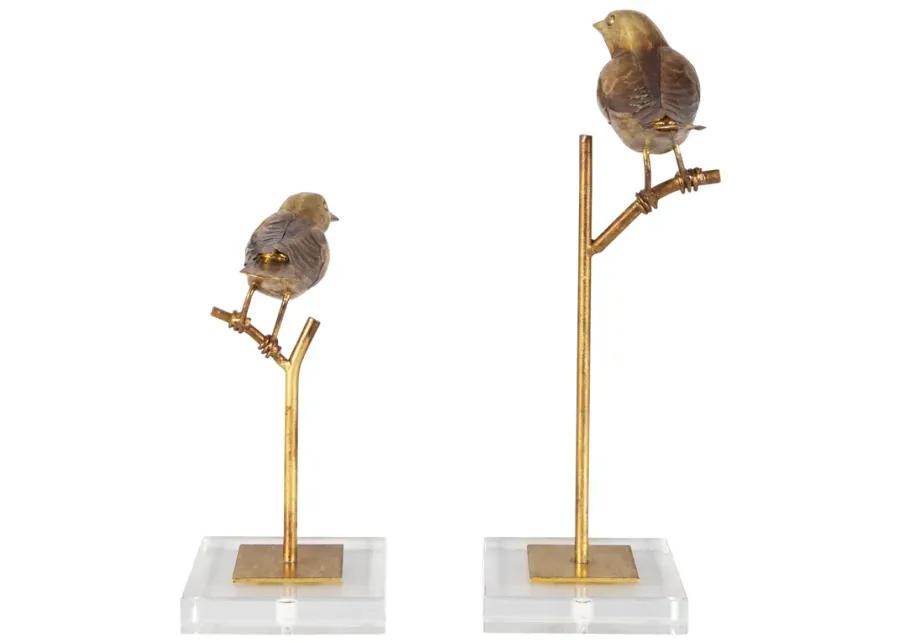 Passerines Bird Sculptures S/2