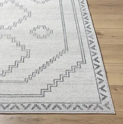 Alpharetta APH-2306 5'3" x 7' Machine Woven Rug